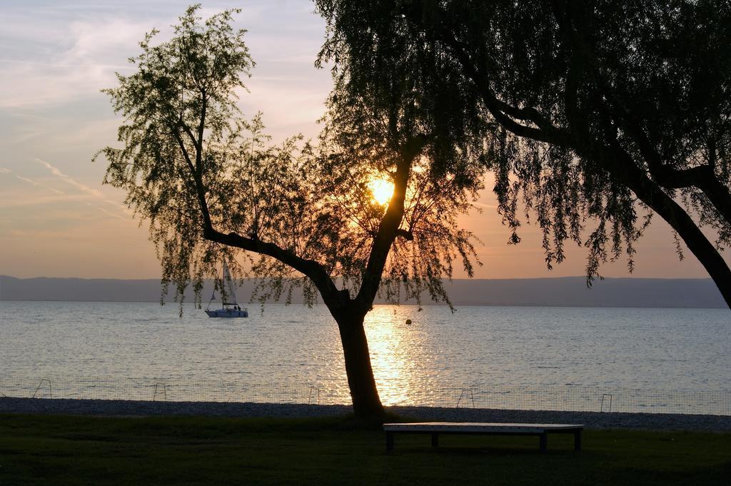 Die Pension Reeh Podersdorf am See Eksteriør bilde